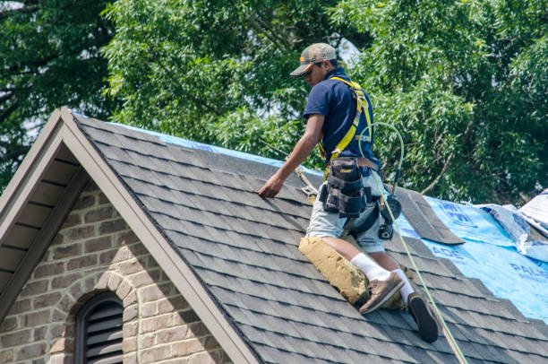 Professional Roofing Contractor in Barneveld, WI